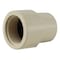 Apollo 3/4 in. x 3/4 in. CPVC CTS x FNPT Solvent Weld Adapter (10-Pack), 10PK CPVCFA34W10PK - alternate 2